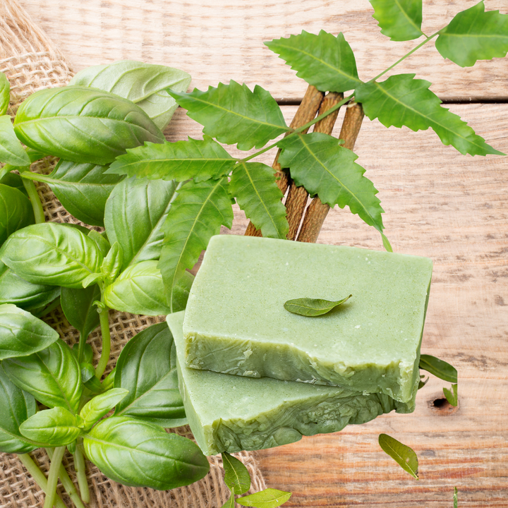 Naturelle Organic Exfoliating Skin Neem Basil Soap Bar