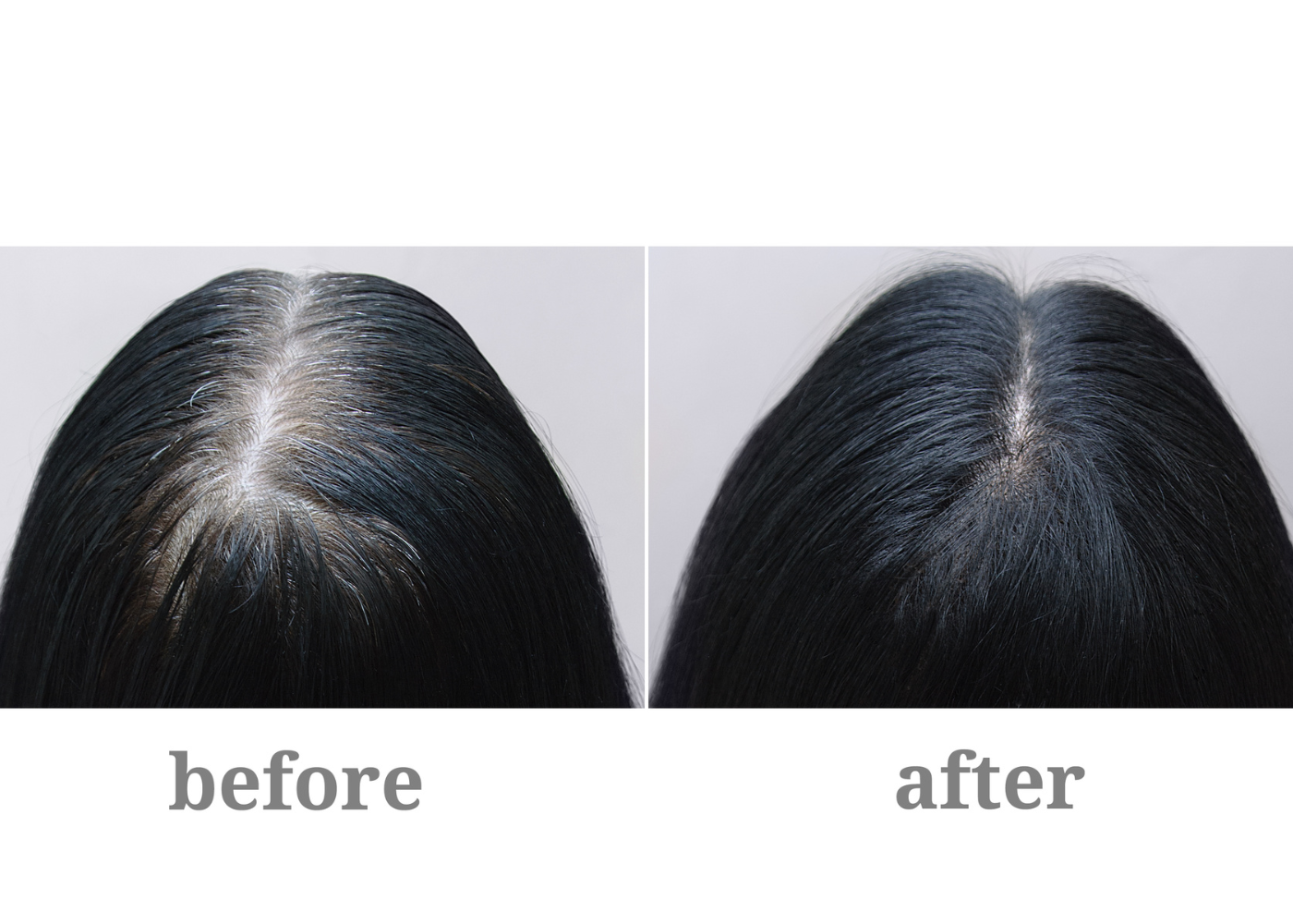 Intense Black Shampoo Vegan Premature Grey Hair